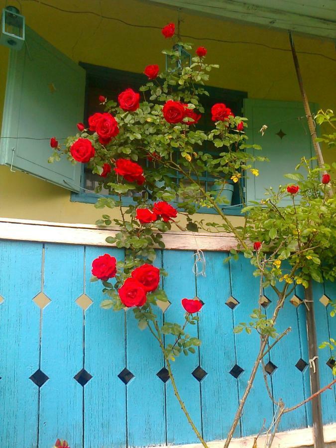 Blue Cottage Podvrh (Braslovce) Exterior foto