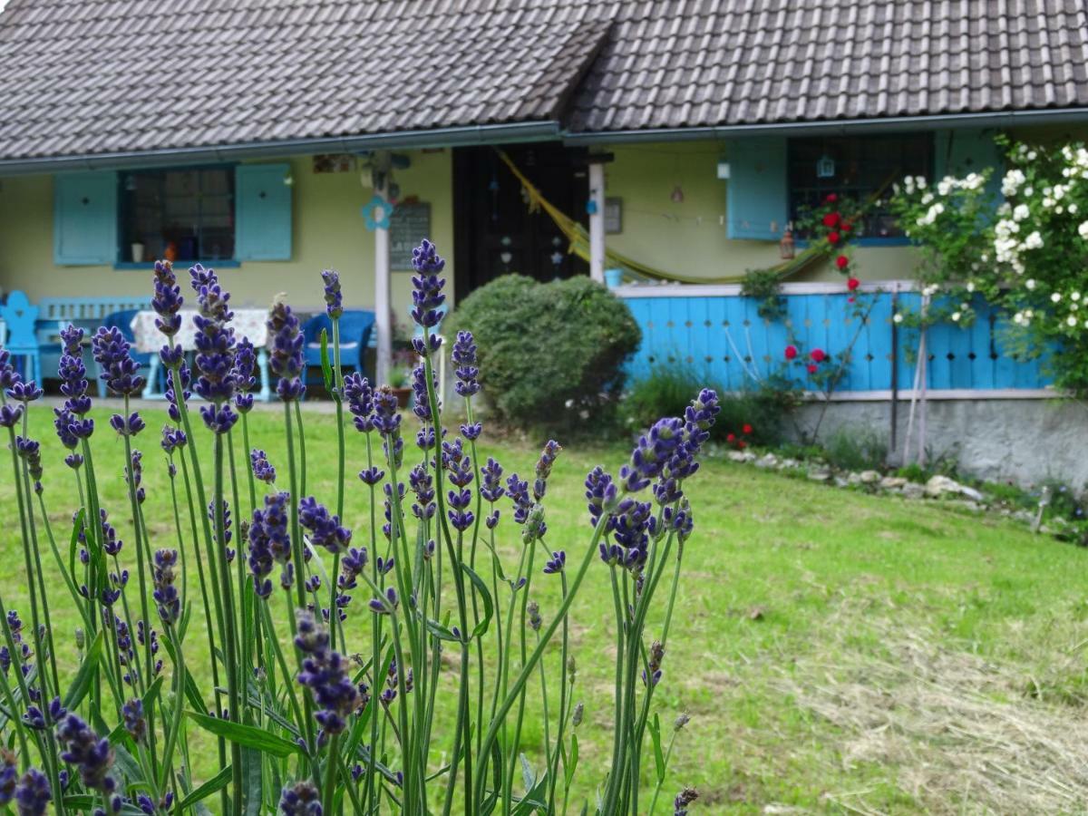 Blue Cottage Podvrh (Braslovce) Exterior foto